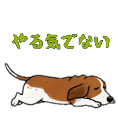 [LINEスタンプ] バセットハウンドと一緒の日常