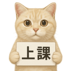 [LINEスタンプ] クリーム色アメショの筋トレ猫