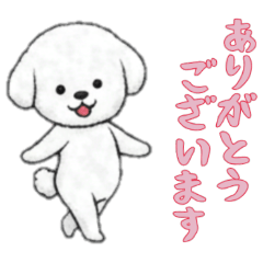 [LINEスタンプ] [ありがとうございます]ビションフリーゼ
