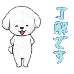 [LINEスタンプ] [了解です専用]ビションフリーゼ