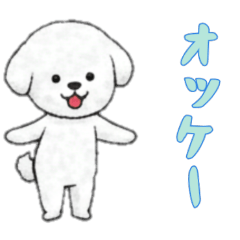 [LINEスタンプ] [オッケー専用]ビションフリーゼ
