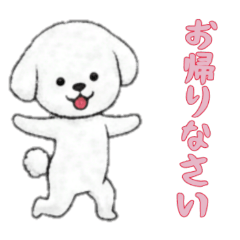 [LINEスタンプ] [お帰りなさい専用]ビションフリーゼ