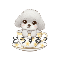 [LINEスタンプ] ティーカッププードル グレー（日常会話）