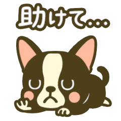 [LINEスタンプ] 相棒ボストンテリアと毎日伝えよう！