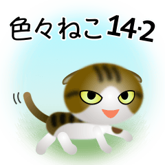 [LINEスタンプ] 色々な猫14-2 短毛-垂れ耳-キジトラ白