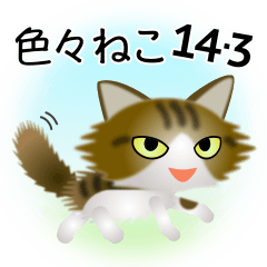 [LINEスタンプ] 色々な猫14-3 長毛-立ち耳-キジトラ白
