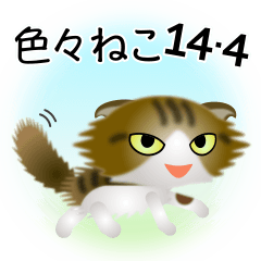 [LINEスタンプ] 色々な猫14-4 長毛-垂れ耳-キジトラ白