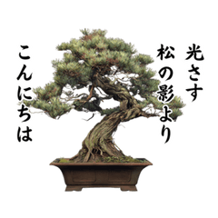 [LINEスタンプ] 盆栽スタンプ2俳句編 87