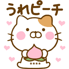 [LINEスタンプ] ねこひなのダジャレカスタムだよ