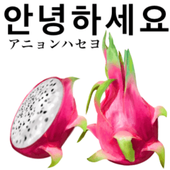 [LINEスタンプ] 南国のドラゴンフルーツ 【韓国語】