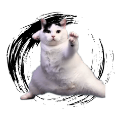 [LINEスタンプ] 動く！踊る猫ミーム(パート28)