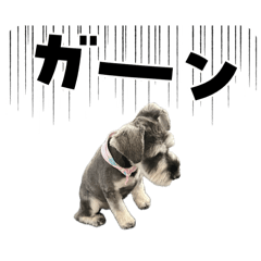 [LINEスタンプ] シュナップ