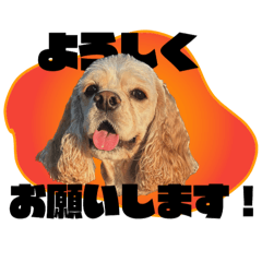 [LINEスタンプ] フェデリコスタンプ2