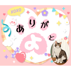[LINEスタンプ] にゃあのあいさつ状Part7