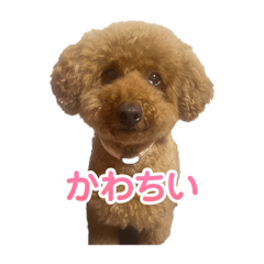 [LINEスタンプ] アロハマロ