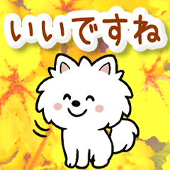 [LINEスタンプ] 動く☆大人やさしいポメラニアンと野の花