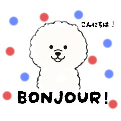 [LINEスタンプ] ビションフリーゼ 日常会話フランス語