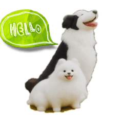 [LINEスタンプ] 犬と猫 普段使い