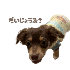 [LINEスタンプ] チワックスのモカ君 part3