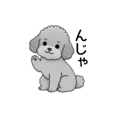 [LINEスタンプ] フランクな会話のトイプードル グレー