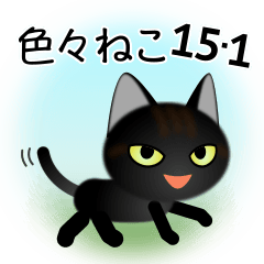 [LINEスタンプ] 色々な猫15-1 短毛-立ち耳-黒