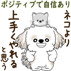 [LINEスタンプ] シーズー犬「ポジティブで自信あり」No.5