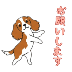 [LINEスタンプ] キャバリアと一緒の日常