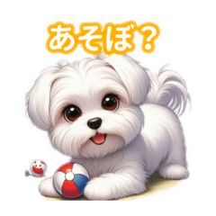 [LINEスタンプ] とにかくかわいい マルチーズ2