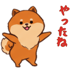 [LINEスタンプ] ポメラニアンと一緒の日常2