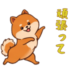 [LINEスタンプ] ポメラニアンと一緒の日常1