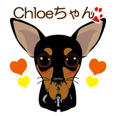 [LINEスタンプ] まめぴん321*Chloeちゃん.ver