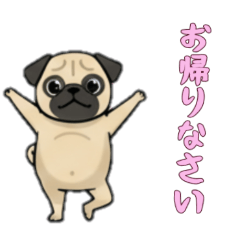 [LINEスタンプ] [お帰りなさい専用]パグ