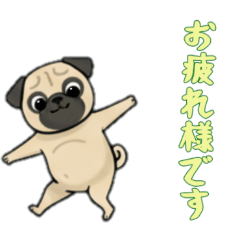 [LINEスタンプ] [お疲れ様です専用]パグ
