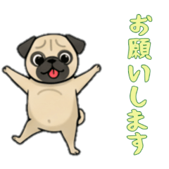 [LINEスタンプ] [お願いします専用]パグ