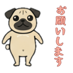 [LINEスタンプ] [お願いします専用]パグパグ