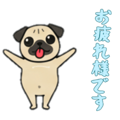 [LINEスタンプ] [お疲れ様です専用]パグパグ