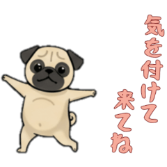 [LINEスタンプ] [気を付けて来てね専用]パグ