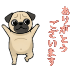 [LINEスタンプ] [ありがとうございます専用]パグ