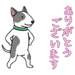 [LINEスタンプ] [ありがとうございます専用]ブルテリア