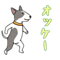 [LINEスタンプ] [オッケー専用]ブルテリア