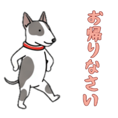 [LINEスタンプ] [お帰りなさい専用]ブルテリア