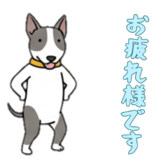 [LINEスタンプ] [お疲れ様です専用]ブルテリア