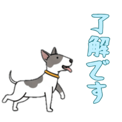 [LINEスタンプ] [了解です専用]ブルテリア