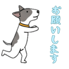 [LINEスタンプ] [お願いします専用]ブルテリア