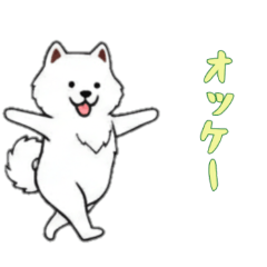 [LINEスタンプ] [オッケー専用]サモエド