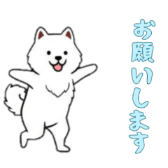 [LINEスタンプ] [お願いします専用]サモエド