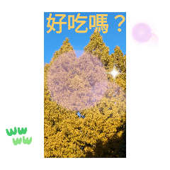 [LINEスタンプ] ほっこり公園日和 - 季節の挨拶集 台湾語