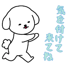 [LINEスタンプ] [気を付けて来てね専用]白い犬の男の子