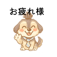 [LINEスタンプ] こてつくんの可愛いスタンプ