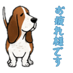 [LINEスタンプ] [お疲れ様です専用]バセットハウンド